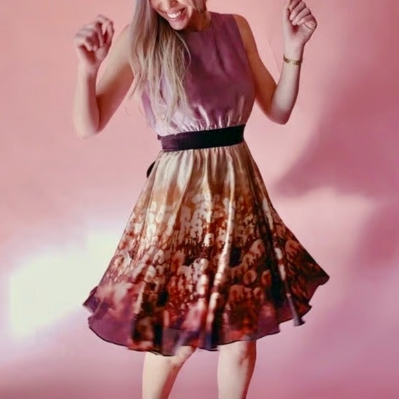 Ted Baker Silk “Dandelion” Party Dress – NWOT – Size 2 - Picture 5 of 8